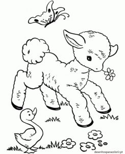 Read more about the article Desenhos de ovelhas para pintar 03